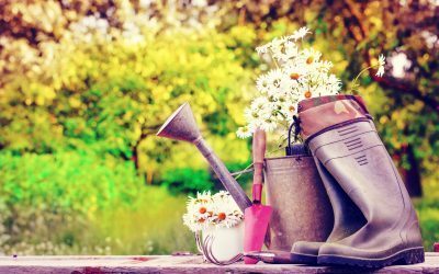 Are you prepared for spring buying season?