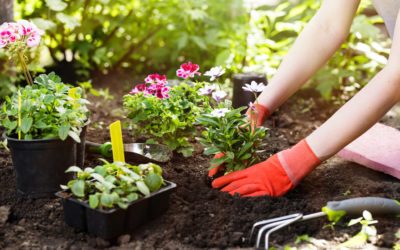 Good fortune = preparation + opportunity