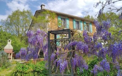 Life abroad one year on: “Real life here is beautiful, colourful and joyful”