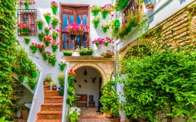 Why you shouldn’t base major property decisions on bank forecasts