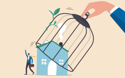 Lockdown endings: what’s happening where?