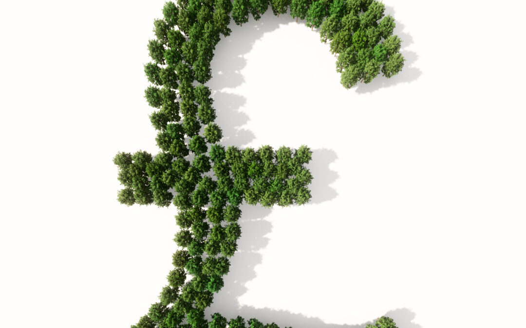 Sterling looks to end summer on a high