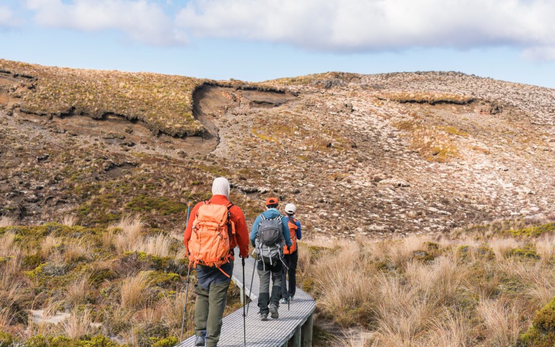 Buying property in New Zealand in 2026