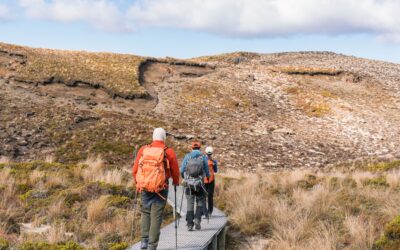 Buying property in New Zealand in 2026