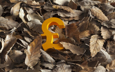 Where will the pound be by autumn 2021?